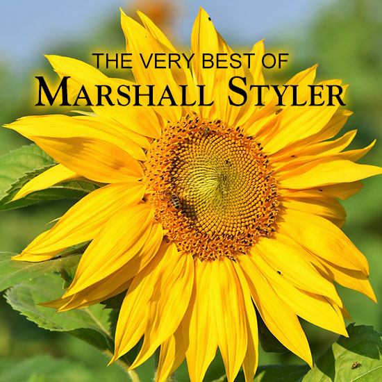 The Very Best of Marshall Styler